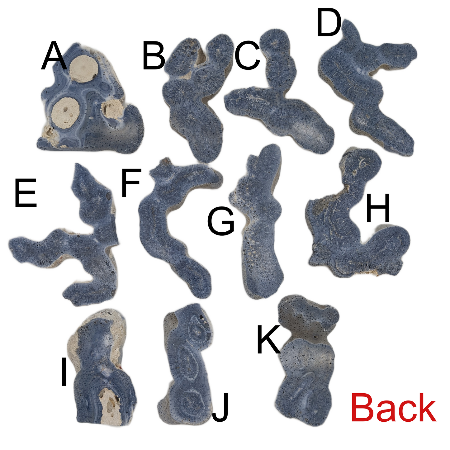 Blue Coral Jade - Large