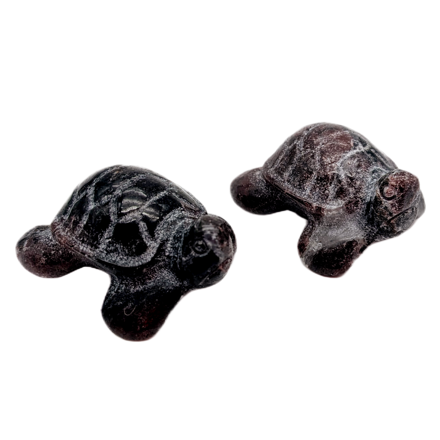 Fireworks Garnet Sea Turtle