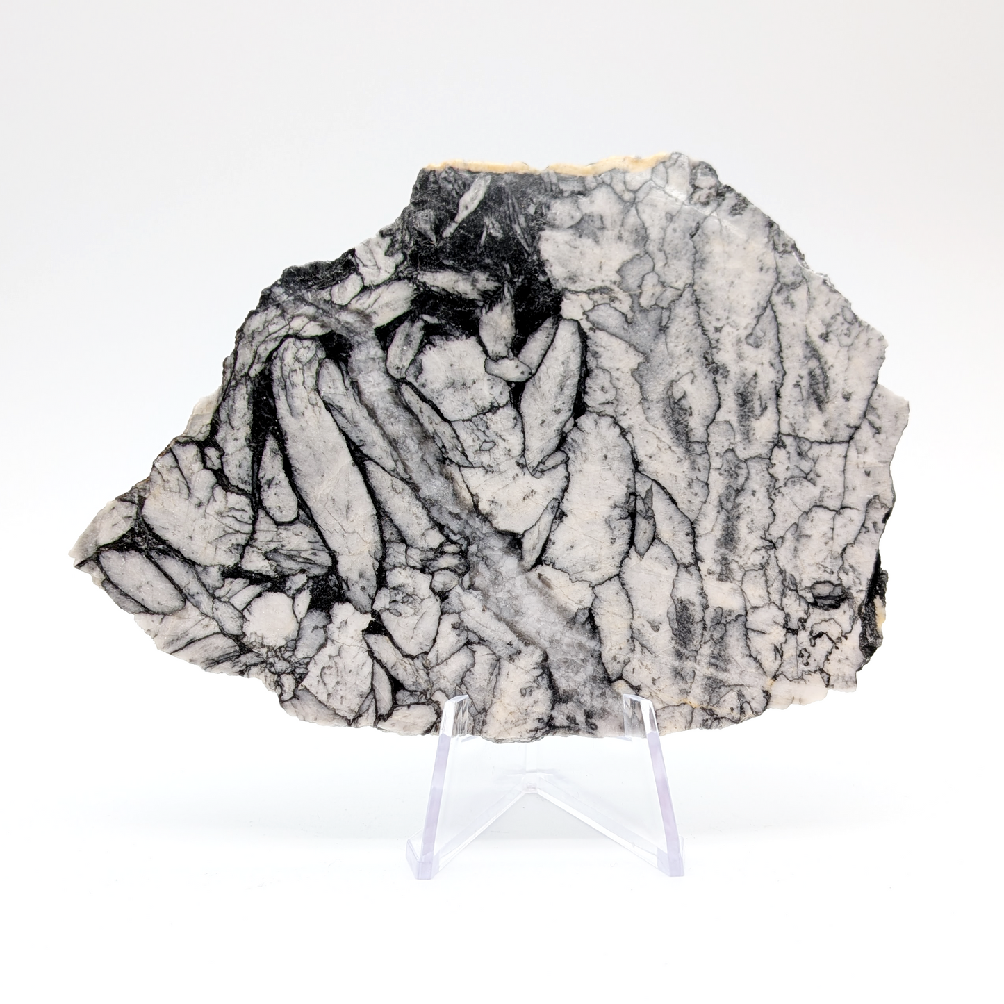 Pinolith Display Slice
