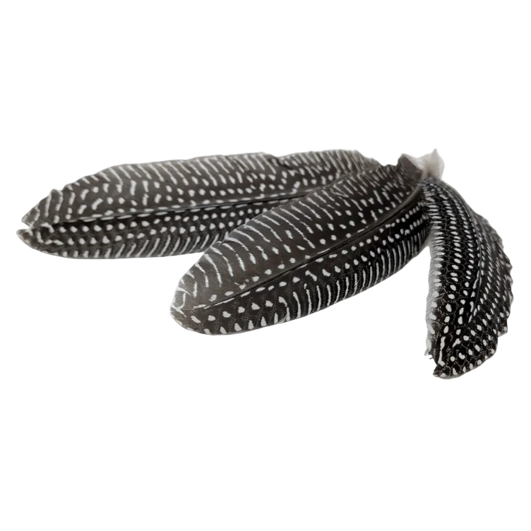 Quail Feather