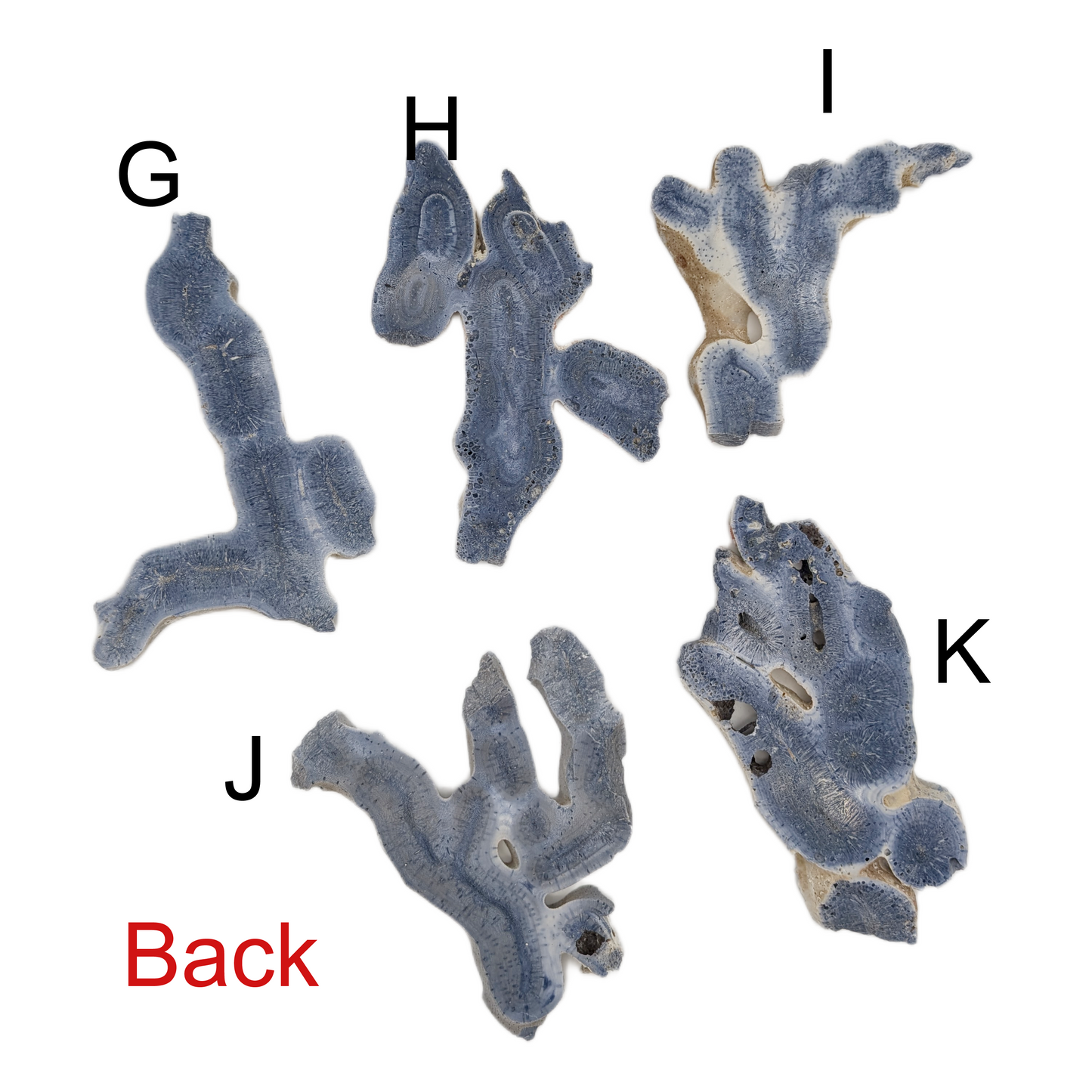 Blue Coral Jade - XL