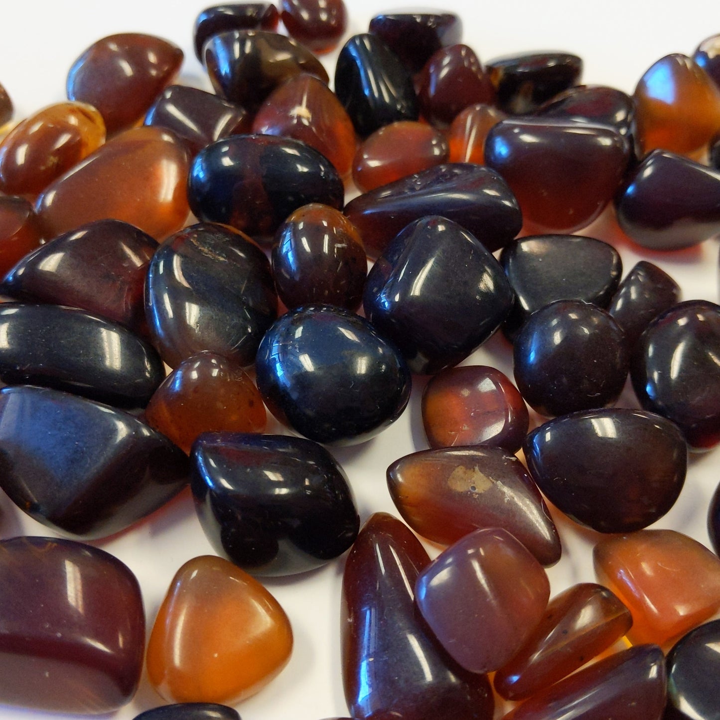 Baltic Amber