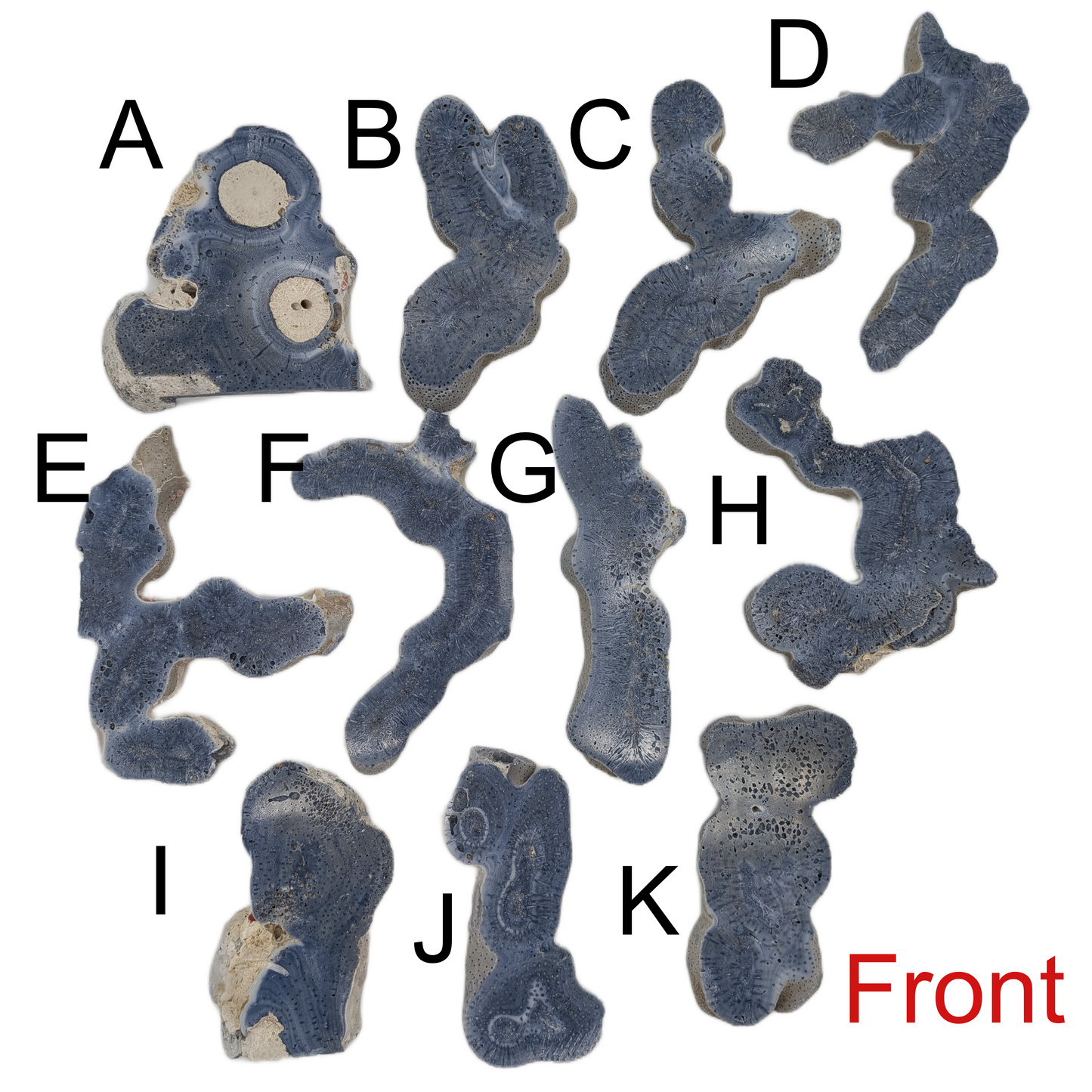 Blue Coral Jade - Large