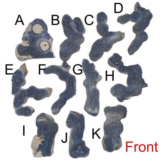Blue Coral Jade - Large