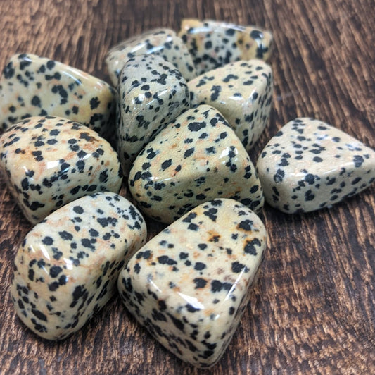 Dalmatian Jasper