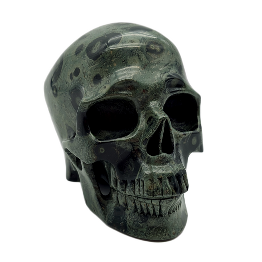 Kambaba Jasper Skull