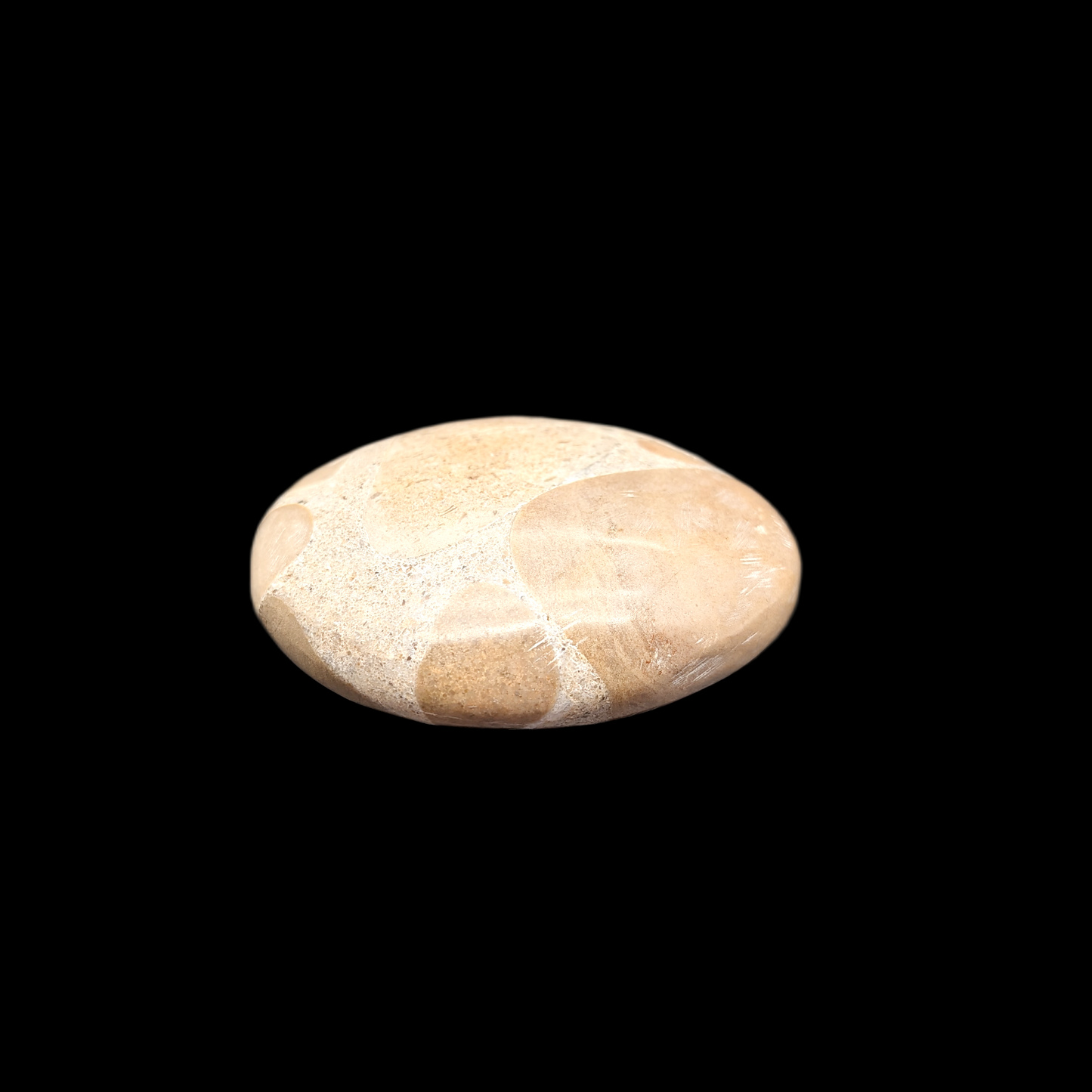 Fun & Funky Palm Stones