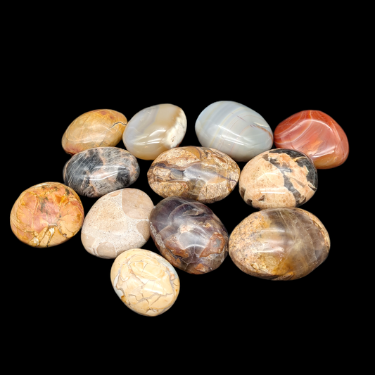 Fun & Funky Palm Stones