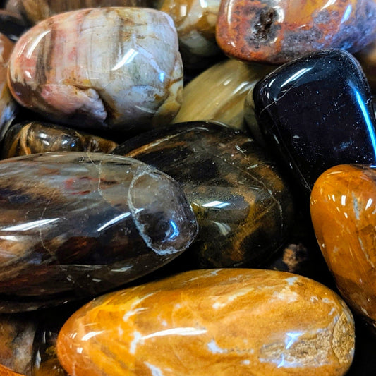 Petrified Wood