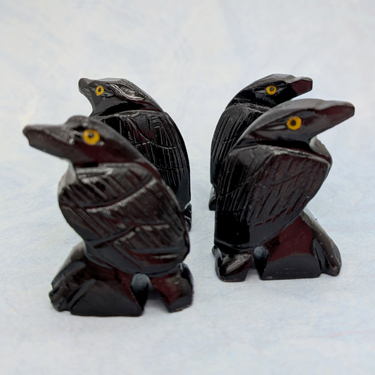Black Onyx Raven