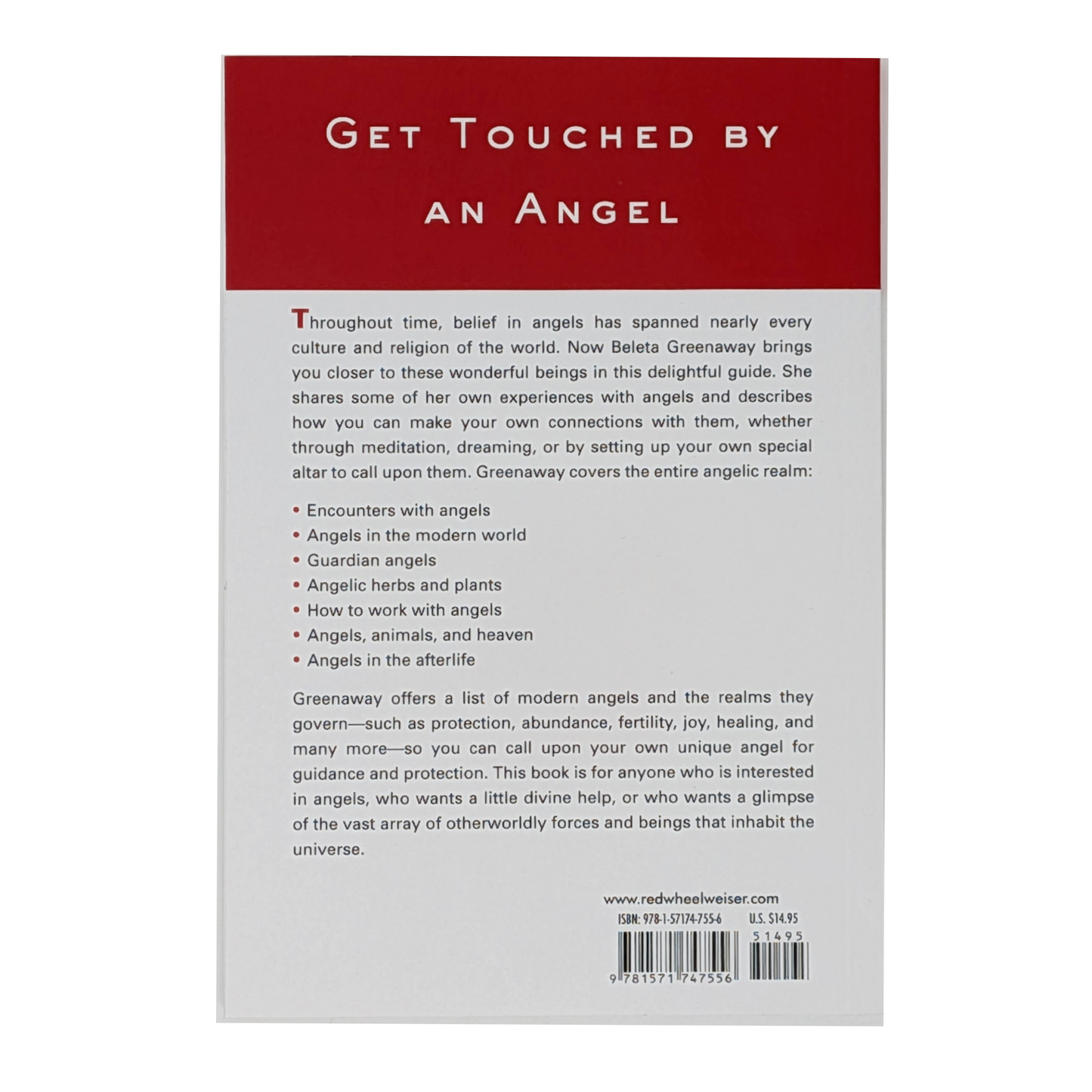Angels Plain & Simple: The Only Book You'll Ever Need