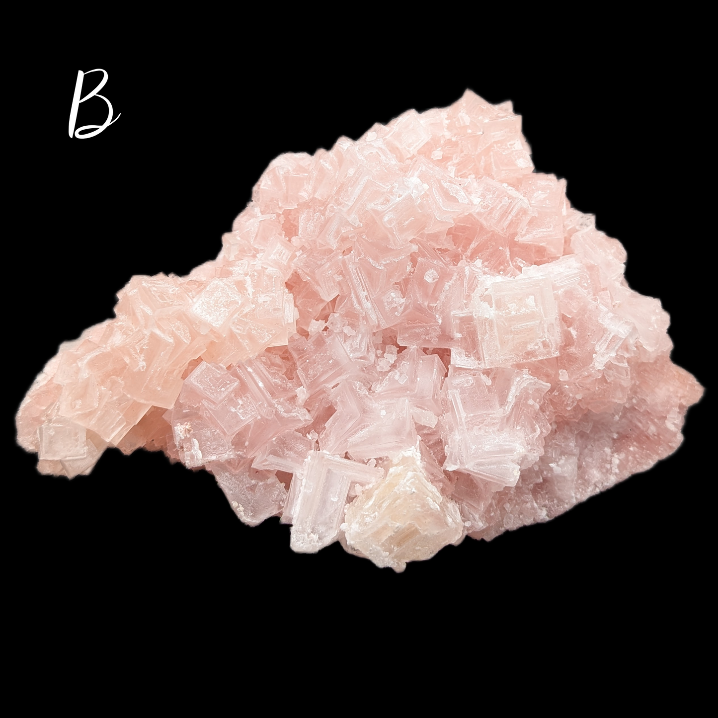 Pink Halite Specimens