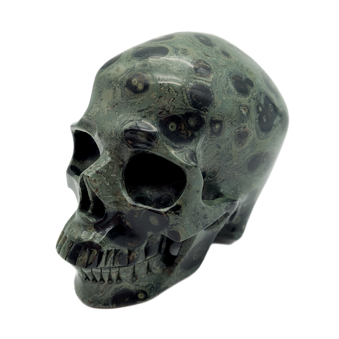 Kambaba Jasper Skull