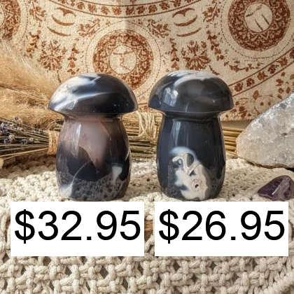 Orca Agate Mushroom