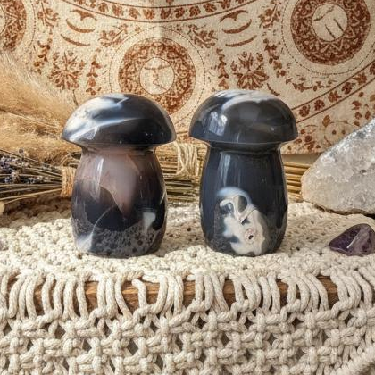 Orca Agate Mushroom