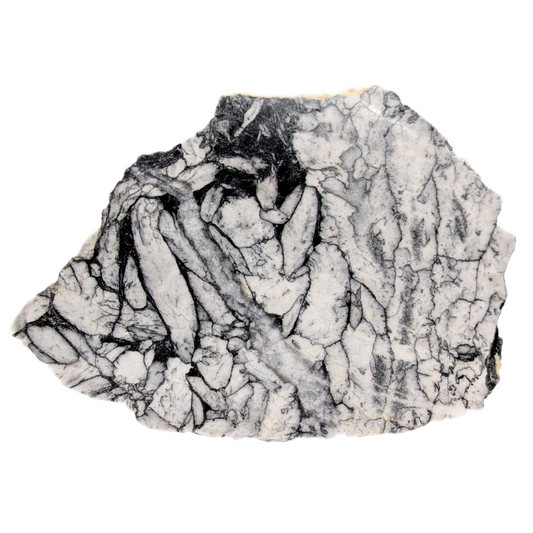 Pinolith Display Slice
