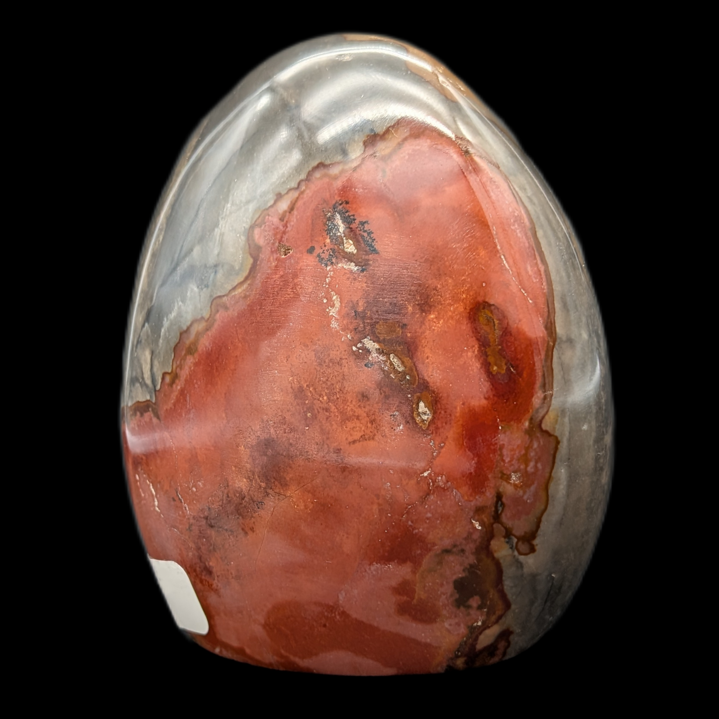 Polychrome Freeform