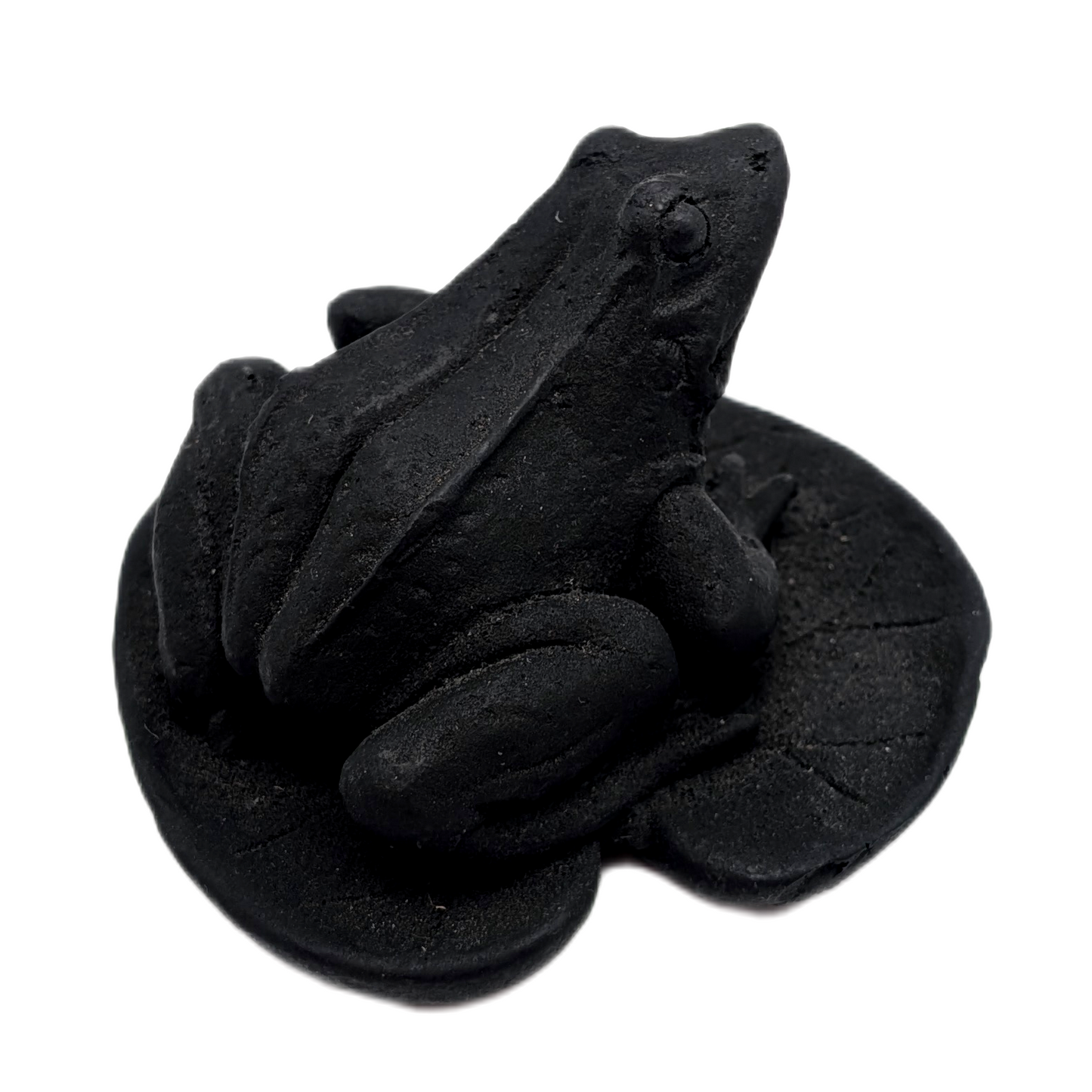 Shungite Frog on Lily Pad