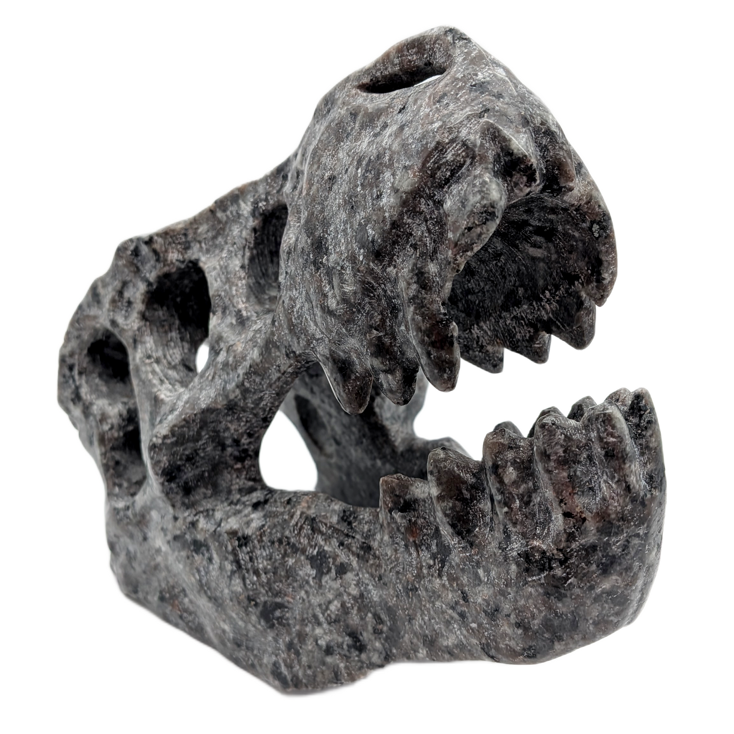 Yooperlite T-Rex Skull