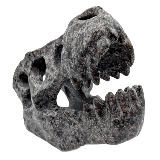 Yooperlite T-Rex Skull