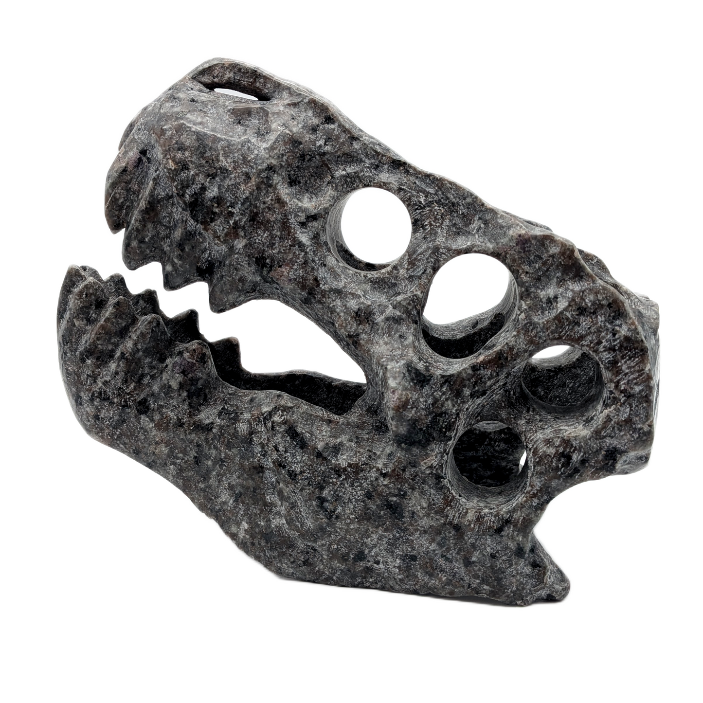 Yooperlite T-Rex Skull