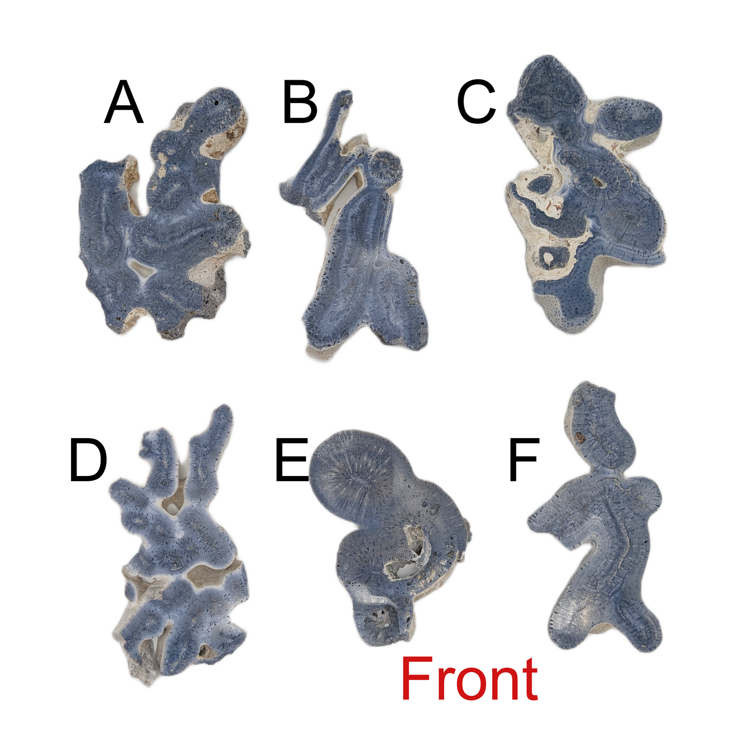 Blue Coral Jade - XL