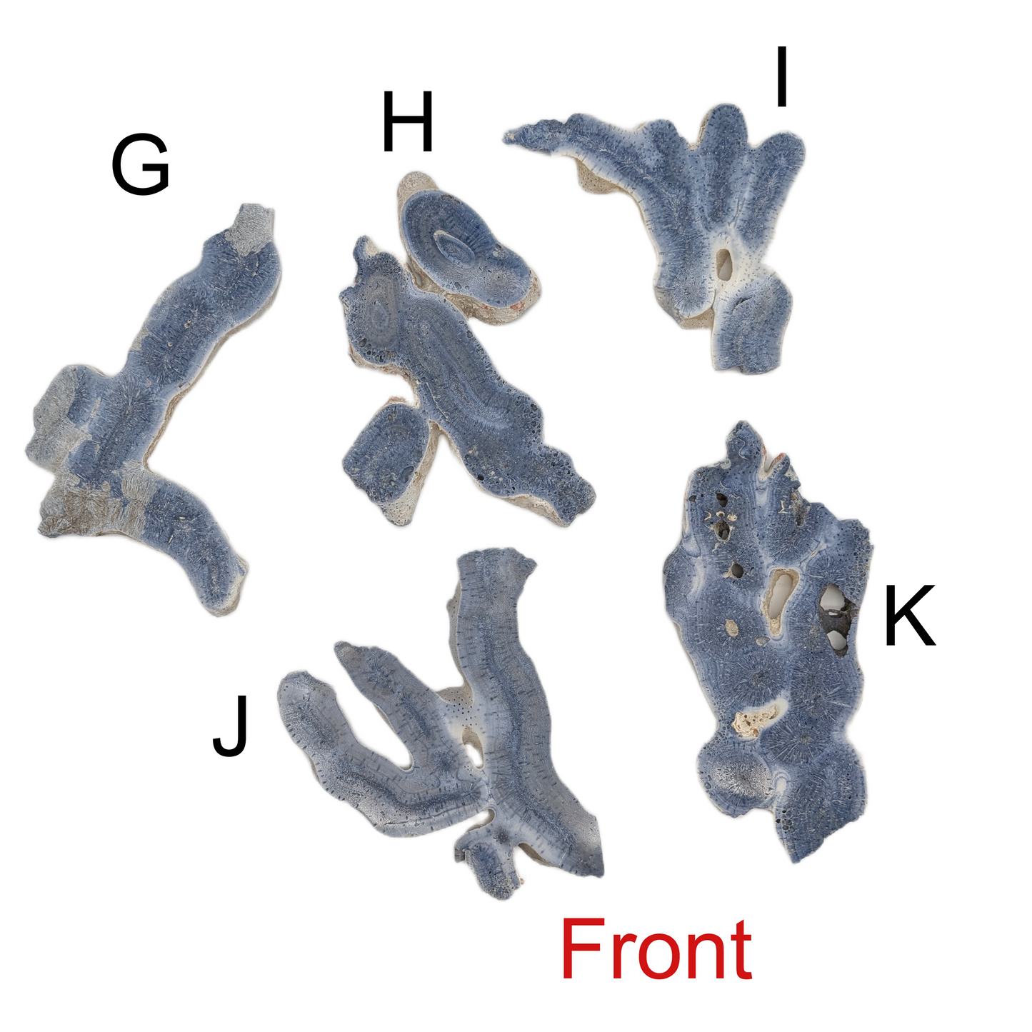 Blue Coral Jade - XL
