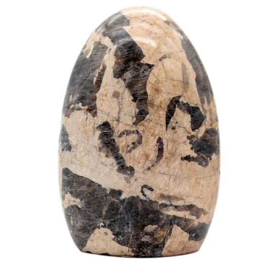 Zebra Moonstone Display